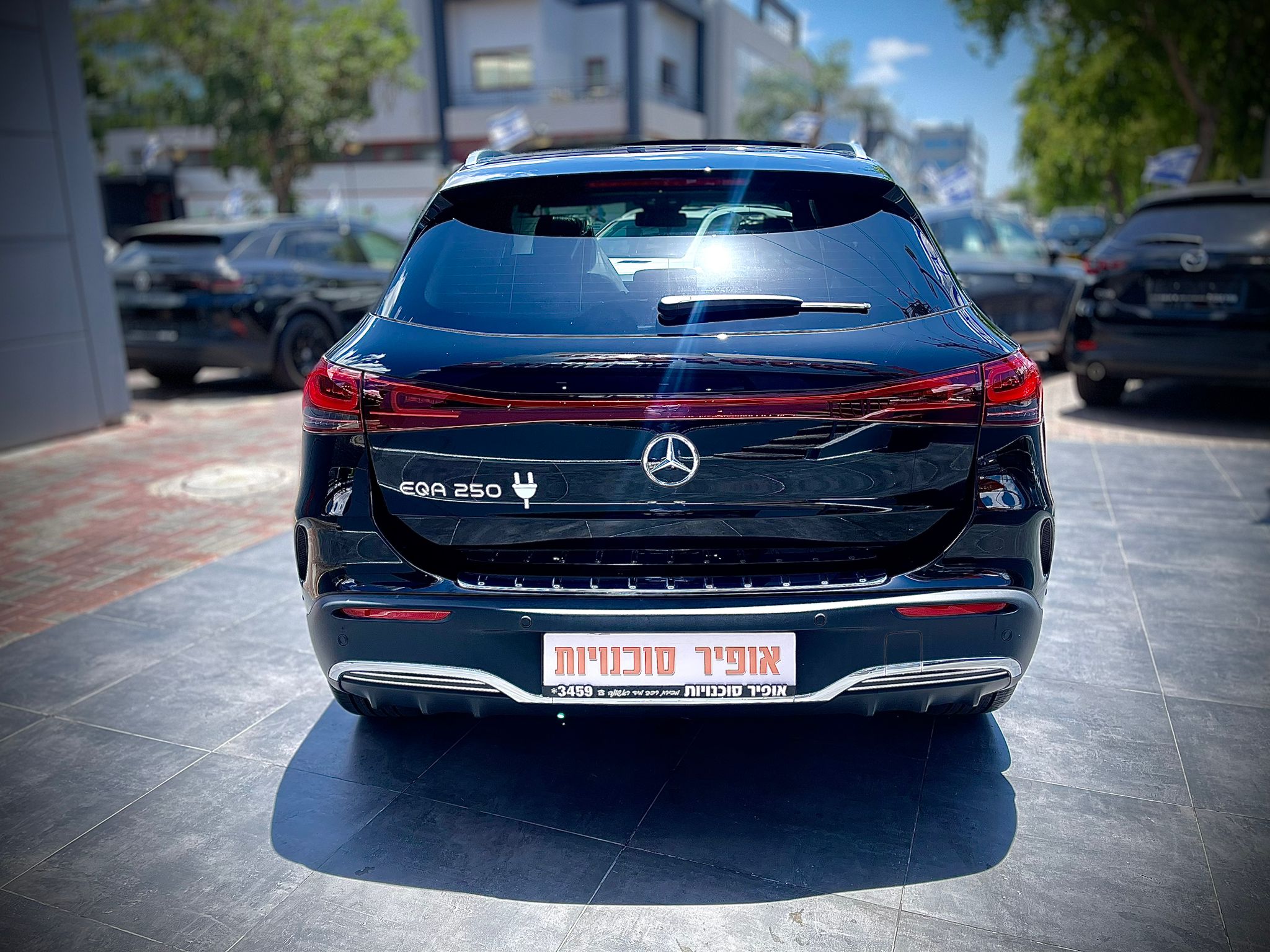 1b17bb81e9